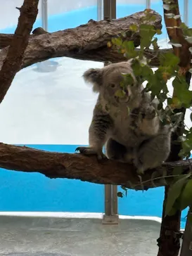 多摩動物公園に投稿された画像（2026/9/22）