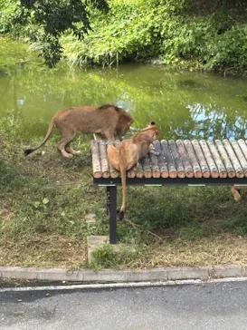 多摩動物公園に投稿された画像（2026/9/22）