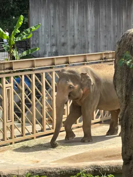 多摩動物公園に投稿された画像（2026/9/22）