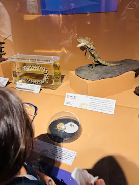 特別展「いきもの超ワールド展　国立科学博物館×ダーウィンが来た！」（国立科学博物館）に投稿された画像（2026/9/22）