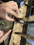 JOYPOLIS 特別イベントスペースに投稿された画像（2026/9/22）
