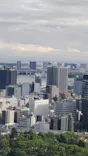 東京タワーに投稿された画像（2026/9/22）
