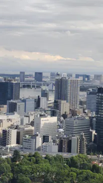 東京タワーに投稿された画像（2026/9/22）