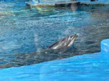 名古屋港水族館に投稿された画像（2026/9/22）