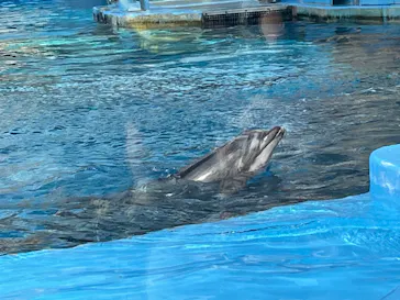 名古屋港水族館に投稿された画像（2026/9/22）