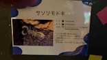 NARA IKIMONO MUSEUMに投稿された画像（2026/9/22）