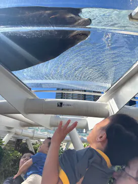 サンシャイン水族館に投稿された画像（2026/9/22）