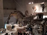 国立科学博物館に投稿された画像（2026/9/22）
