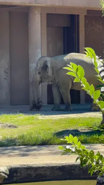 名古屋市東山動植物園に投稿された画像（2026/9/22）