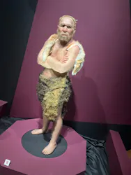特別展「氷河期展　人類が見た４万年前の世界」（福岡会場）に投稿された画像（2026/9/22）