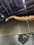 福井県立恐竜博物館に投稿された画像（2026/9/22）
