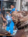 ゼロ距離水族館 伊勢シーパラダイスに投稿された画像（2026/9/22）