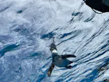 サンシャイン水族館に投稿された画像（2026/9/22）