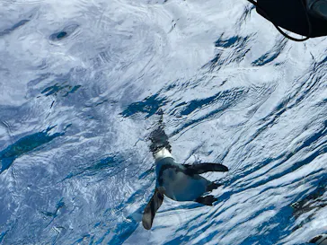 サンシャイン水族館に投稿された画像（2026/9/22）