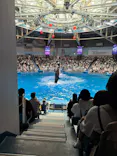 マクセル アクアパーク品川に投稿された画像（2026/9/22）