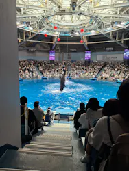 マクセル アクアパーク品川に投稿された画像（2026/9/22）