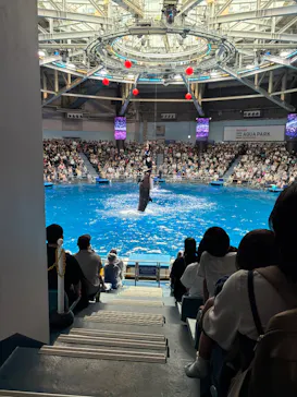 マクセル アクアパーク品川に投稿された画像（2026/9/22）
