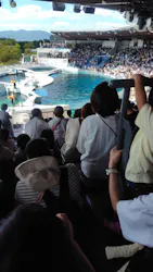 京都鉄道博物館×京都水族館に投稿された画像（2026/9/22）