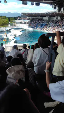 京都鉄道博物館×京都水族館に投稿された画像（2026/9/22）