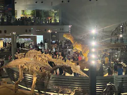福井県立恐竜博物館に投稿された画像（2026/9/22）