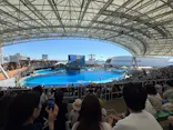 名古屋港水族館に投稿された画像（2026/9/22）