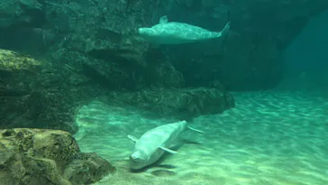 名古屋港水族館に投稿された画像（2026/9/22）
