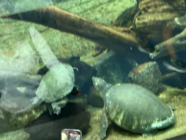 名古屋港水族館に投稿された画像（2026/9/22）