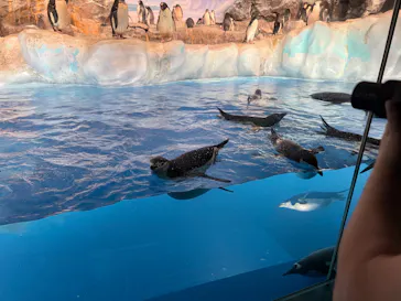 名古屋港水族館に投稿された画像（2026/9/22）