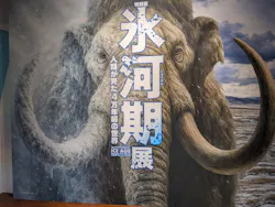 特別展「氷河期展　人類が見た４万年前の世界」（福岡会場）に投稿された画像（2026/9/22）