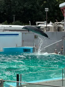 しながわ水族館に投稿された画像（2026/9/22）