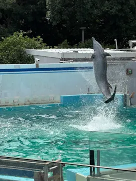 しながわ水族館に投稿された画像（2026/9/22）