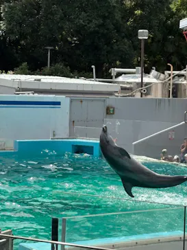 しながわ水族館に投稿された画像（2026/9/22）
