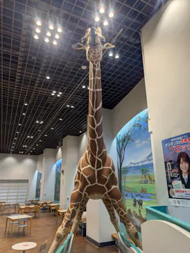 多摩動物公園に投稿された画像（2026/9/22）