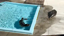 東武動物公園に投稿された画像（2026/9/22）