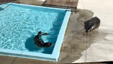 東武動物公園に投稿された画像（2026/9/22）