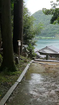 伊根湾めぐり遊覧船に投稿された画像（2026/9/22）