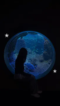 新江ノ島水族館に投稿された画像（2026/9/22）