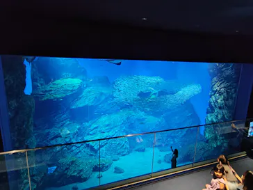 仙台うみの杜水族館に投稿された画像（2026/9/22）