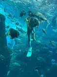 新江ノ島水族館に投稿された画像（2026/9/22）