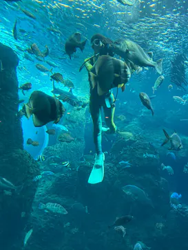 新江ノ島水族館に投稿された画像（2026/9/22）