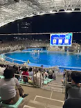 名古屋港水族館に投稿された画像（2026/9/22）