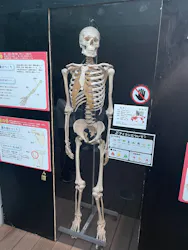 九十九島動植物園森きららに投稿された画像（2026/9/22）