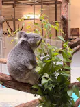 多摩動物公園に投稿された画像（2026/9/22）