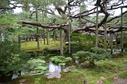 兼六園に投稿された画像（2026/9/22）