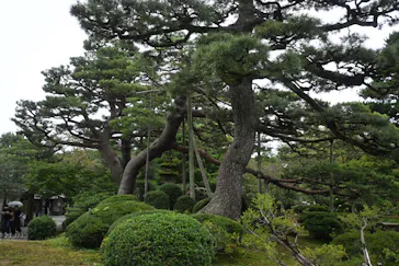 兼六園に投稿された画像（2026/9/22）