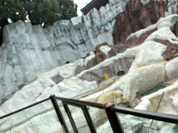 恩賜上野動物園に投稿された画像（2026/9/22）