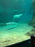 名古屋港水族館に投稿された画像（2026/9/22）