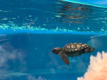 名古屋港水族館に投稿された画像（2026/9/22）