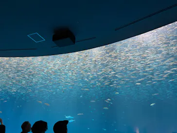名古屋港水族館に投稿された画像（2026/9/22）