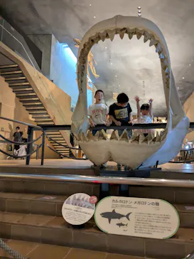 北九州市立自然史・歴史博物館（いのちのたび博物館）に投稿された画像（2026/9/22）